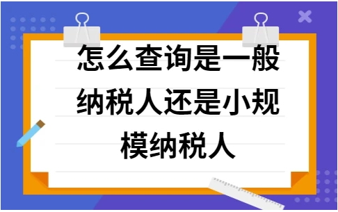 企业怎么样查询是小规模呢？ 