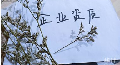 公司注册 公司注册