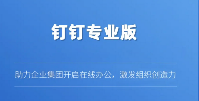 钉钉专业版
