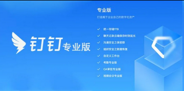 钉钉专业版 钉钉专业版