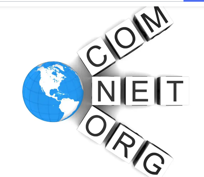 上海网站开发公司