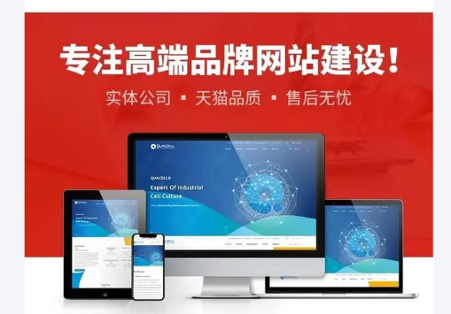 上海网站开发公司